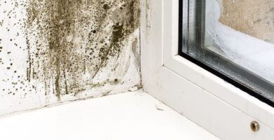 ¿Cómo revestir una pared que tiene humedad?