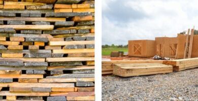 ¿Qué problemas puede presentar la madera en la construcción?